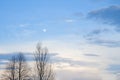 Moon in a blue sky with white clouds in the evening, above the branches of trees. Royalty Free Stock Photo